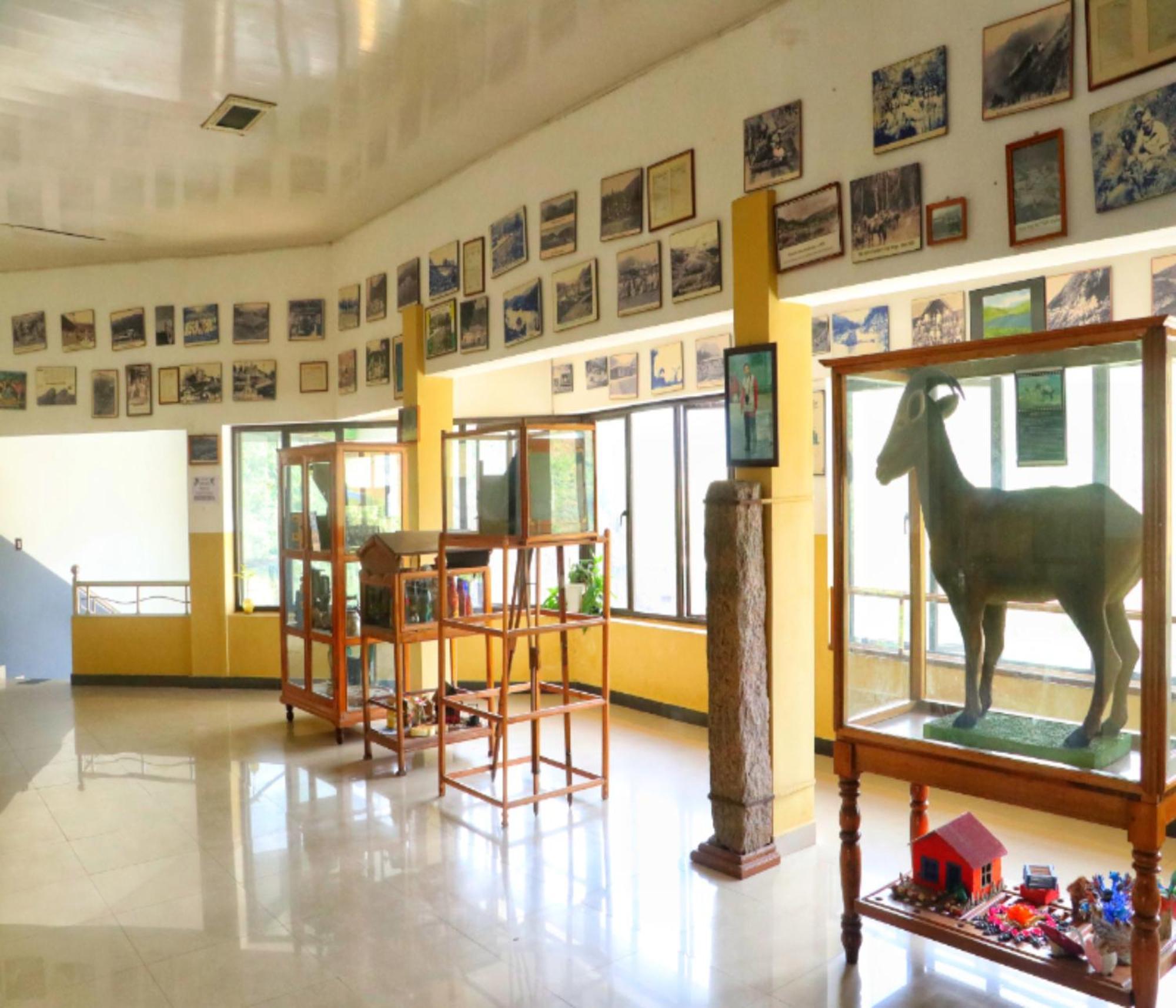 Ac Mist Hotel Munnar Exterior foto